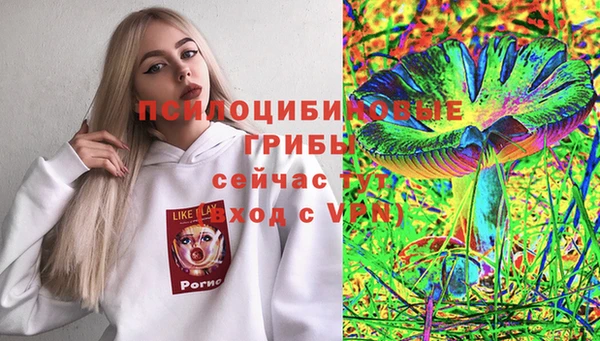 дживик Алзамай