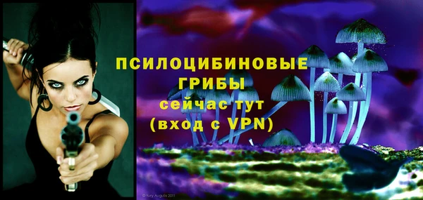 дживик Алзамай