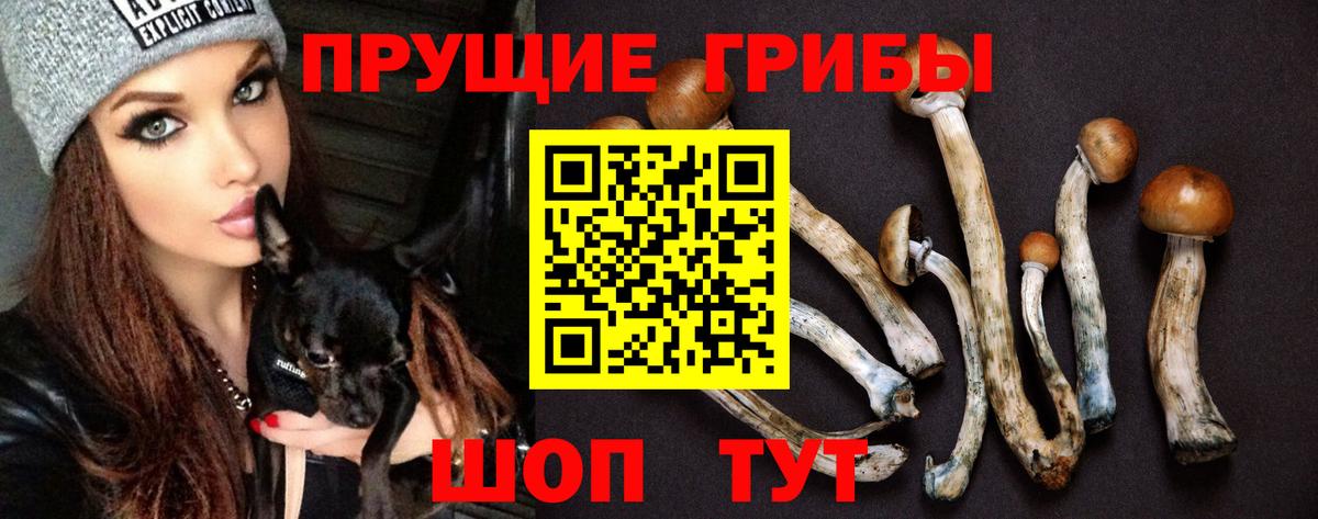 Галлюциногенные грибы Psilocybe  Вход с VPN  Дзержинский 