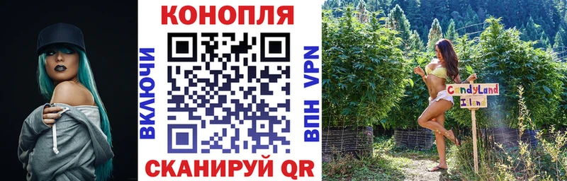 Шишки марихуана план  где продают наркотики  Дзержинский 